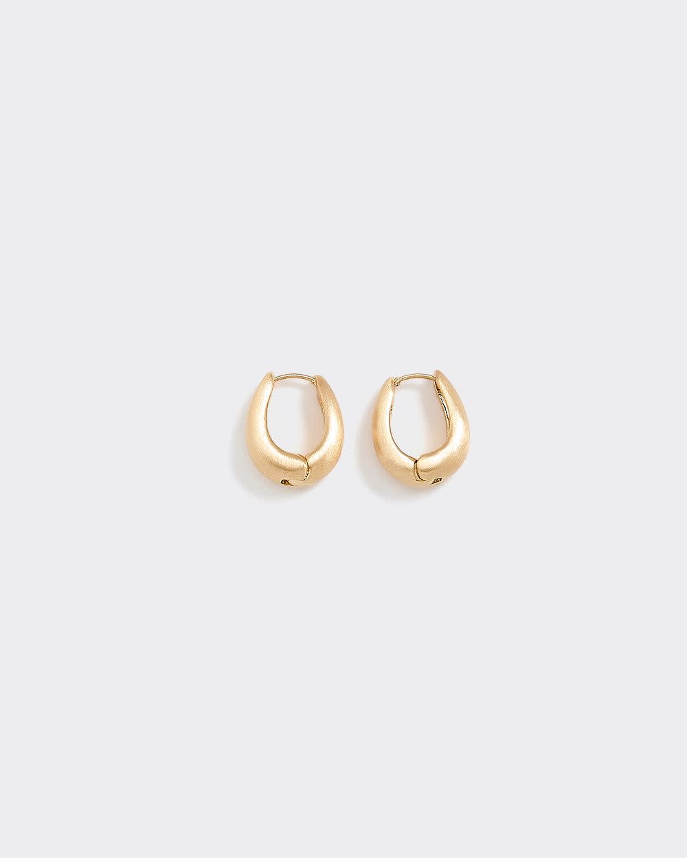Chunky Oval Hoops