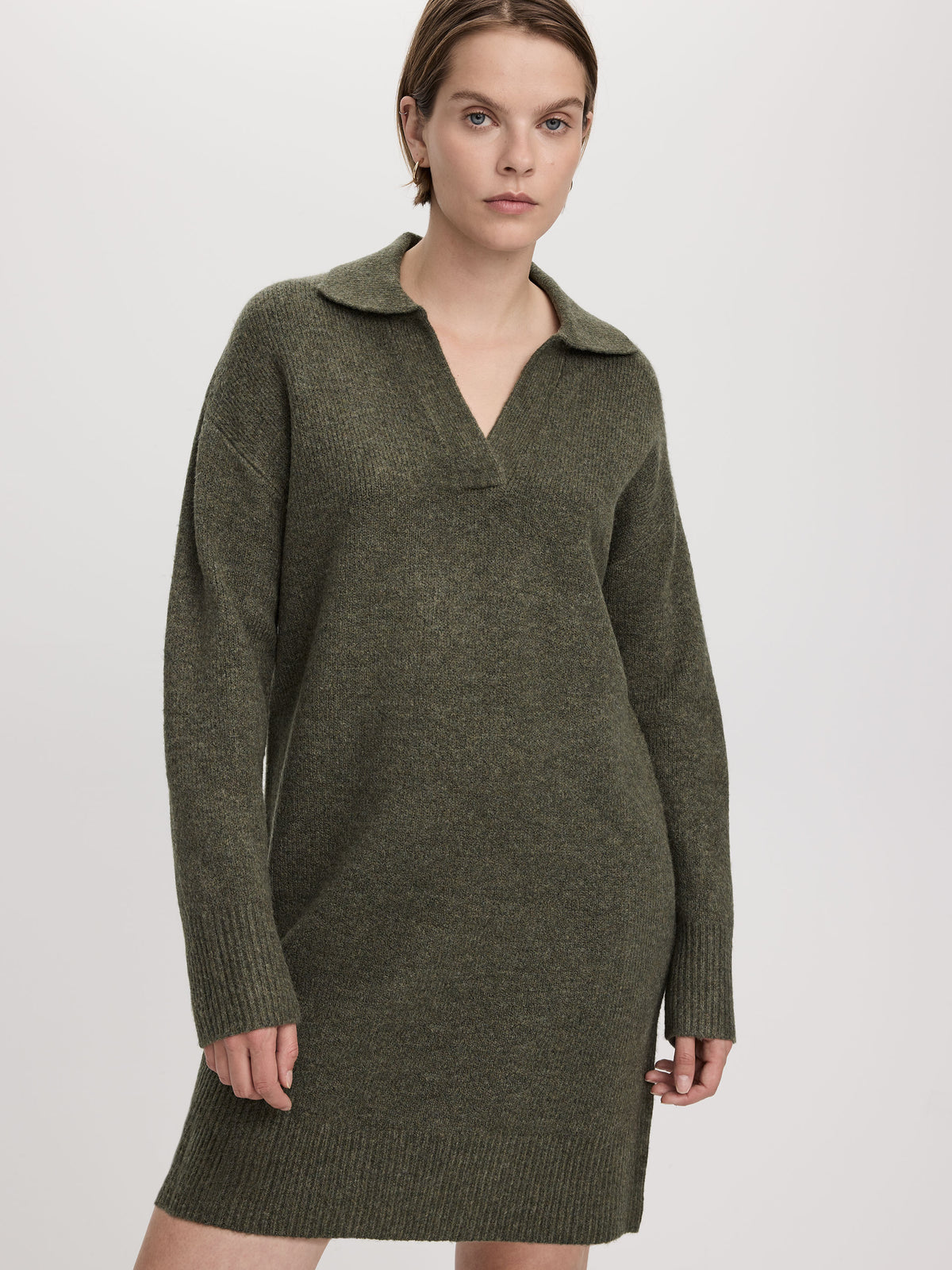 Women’s PlushSoft Long-Sleeve Mini Dress with Johnny Collar | Reitmans