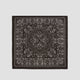Square Scarf with Paisley Pattern