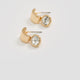 Earrings with Rhinestones