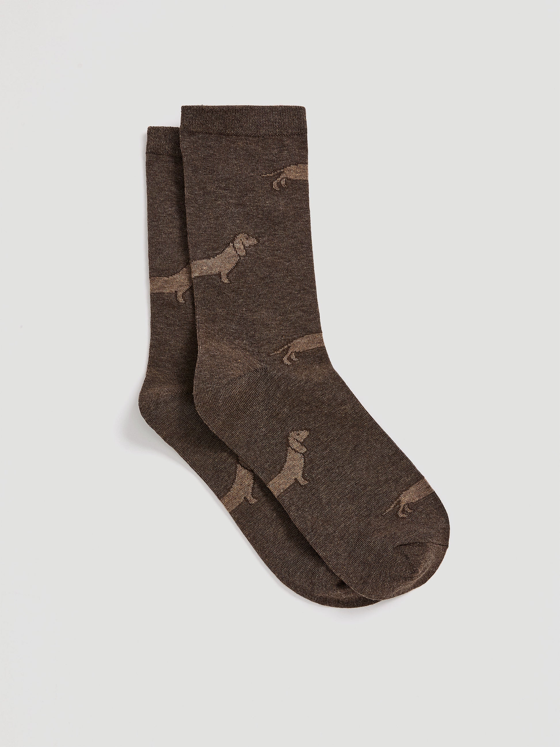Crew Socks with Dogs