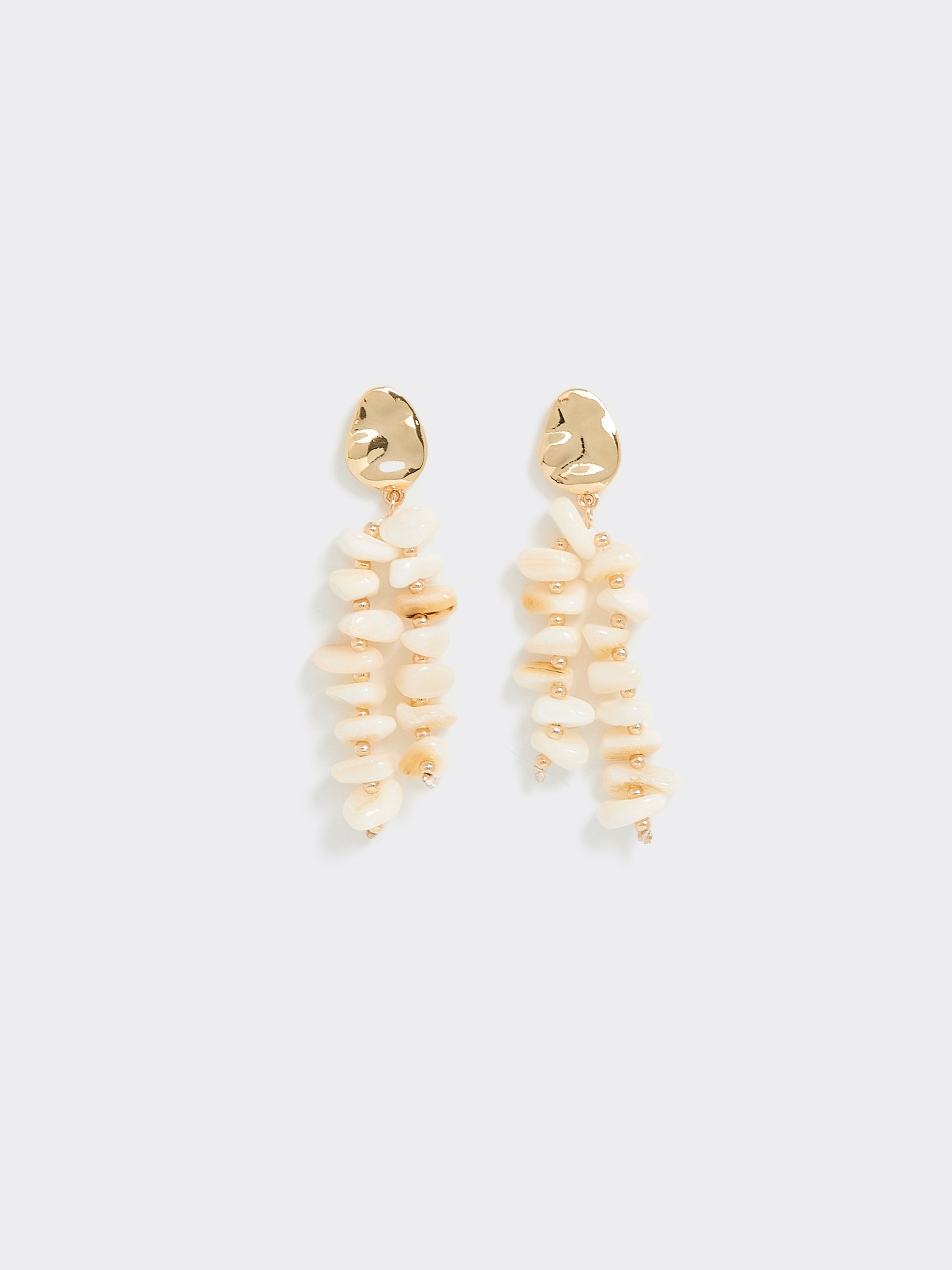 Seashell Earrings
