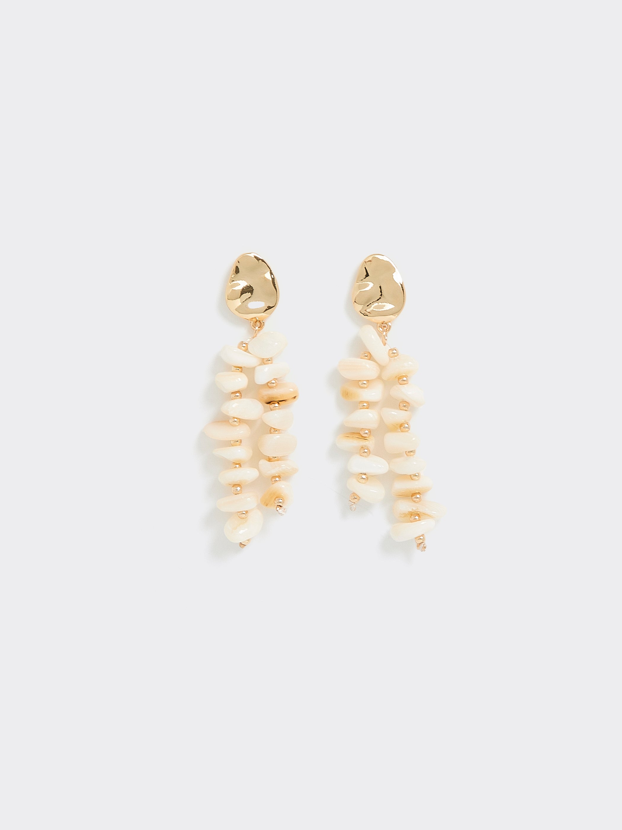 Seashell Earrings