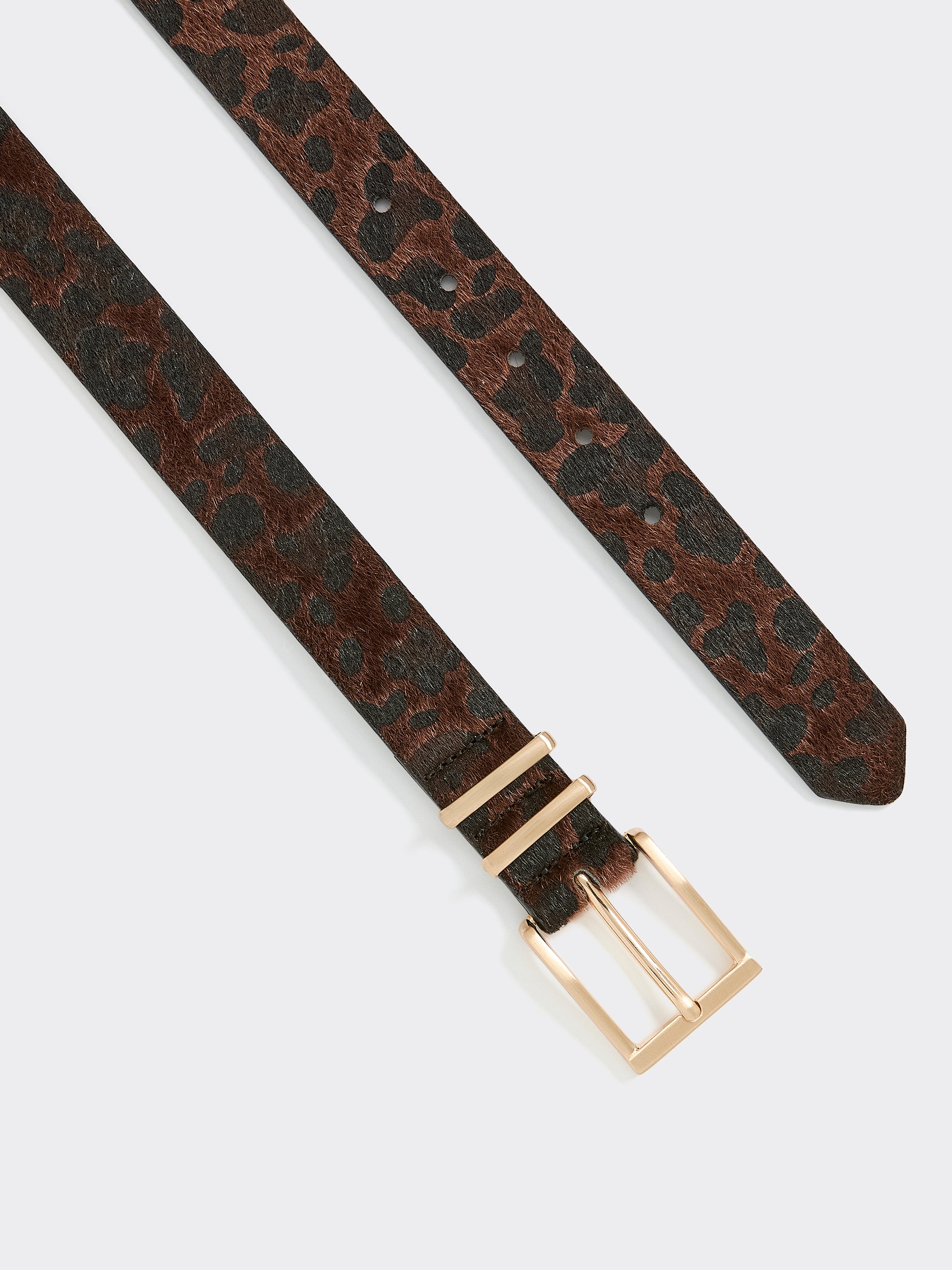 Ceinture Foncée à Motif Léopard