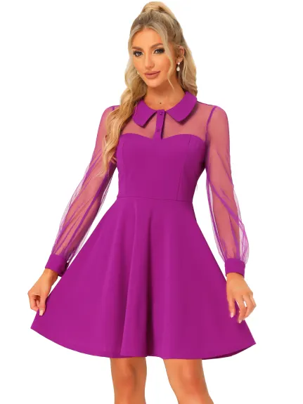 Allegra K- Sheer Mesh Panel Long Sleeve Mini A-Line Dress