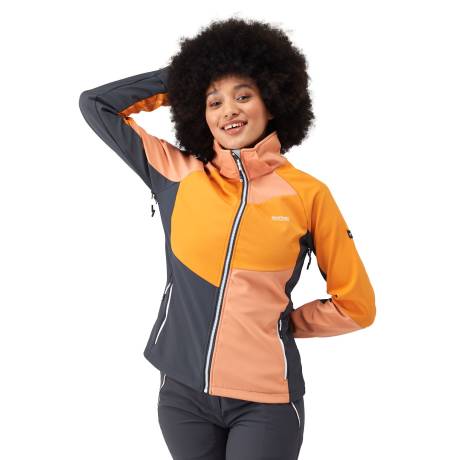 Regatta - Womens/Ladies Desoto IX Soft Shell Jacket