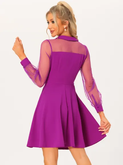 Allegra K- Sheer Mesh Panel Long Sleeve Mini A-Line Dress