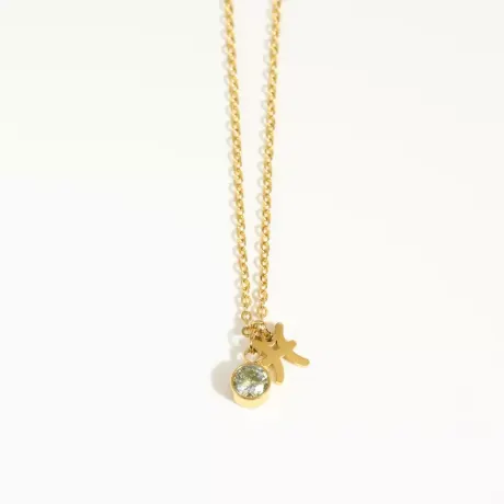 Goldtone Zodiac &  birthstone necklace in stainless steel - Pisces - Eva Sky2