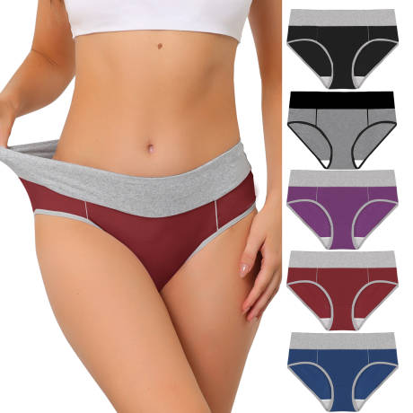 Allegra K- 5 Packs High Rise Brief Stretchy Underwear