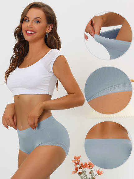 Allegra K- Mid-Rise Comfortable Underwear Mesh Brief Set