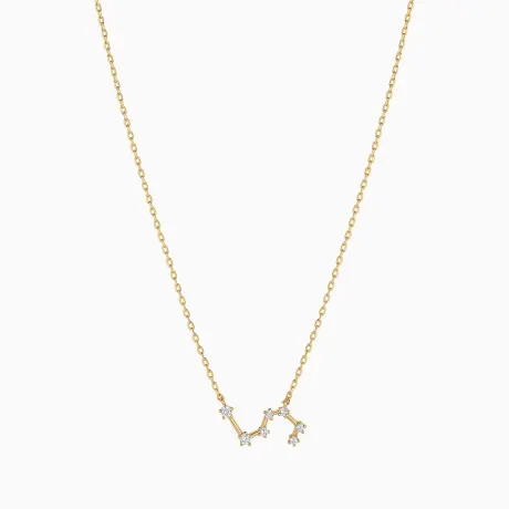 Bearfruit Jewelry - Constellation Necklace - Leo
