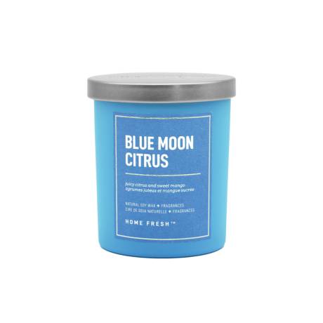Chandelle en cire de soja Blue Moon Citrus - Format 1 mèche