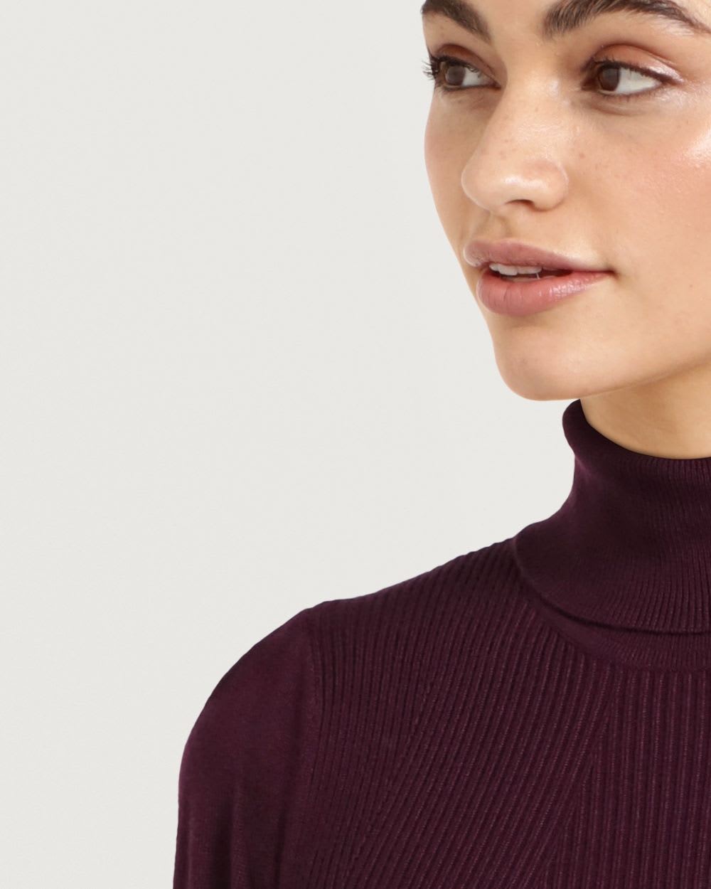 Knit Turtleneck Pullover with Long Balloon Sleeves