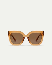 Large Sunglasses with Brown Frame