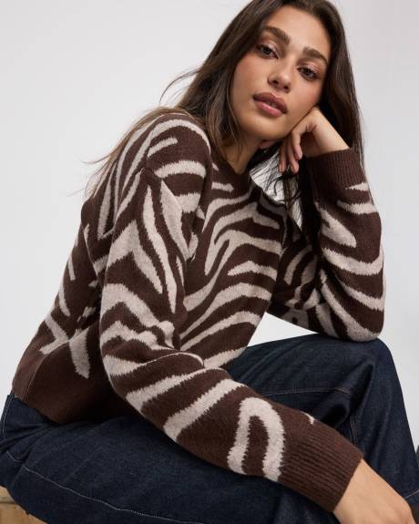 Pull &agrave; manches longues et col rond