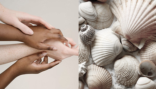 Four hands with diverse skin tones reach together. (left) Three yarn balls of different shades clustered together. (right)